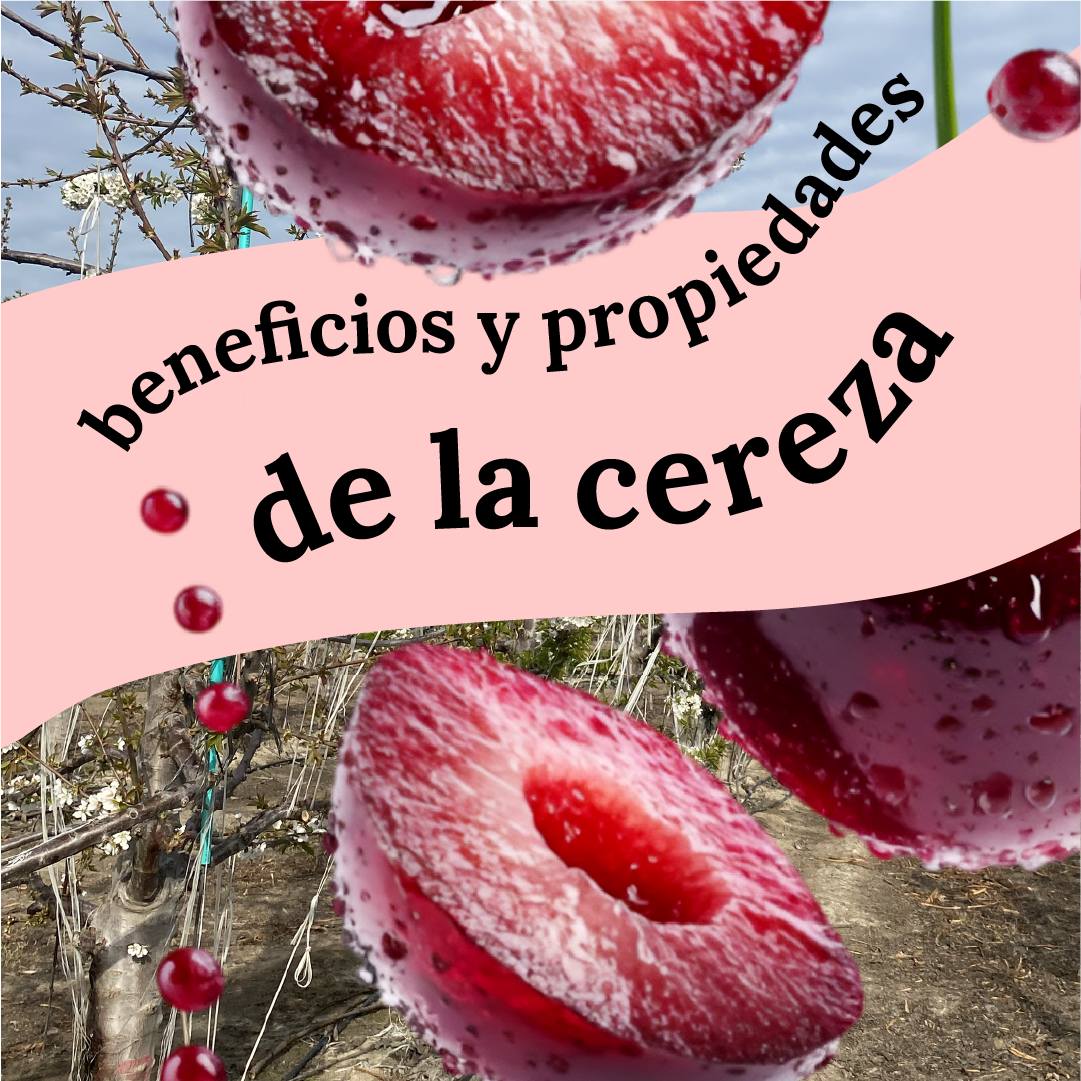 cereza para que es bueno beneficios y propiedades atama foods