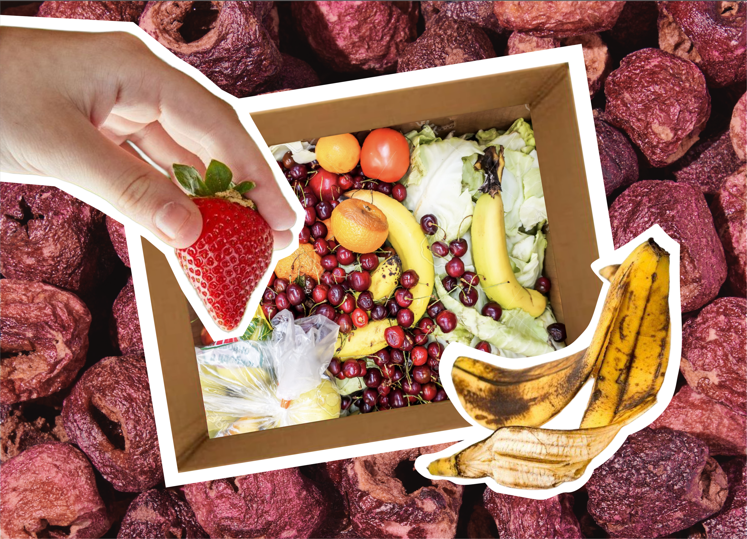 Innovación para la reducción del desperdicio alimentario